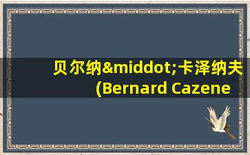 贝尔纳·卡泽纳夫(Bernard Cazeneuve)